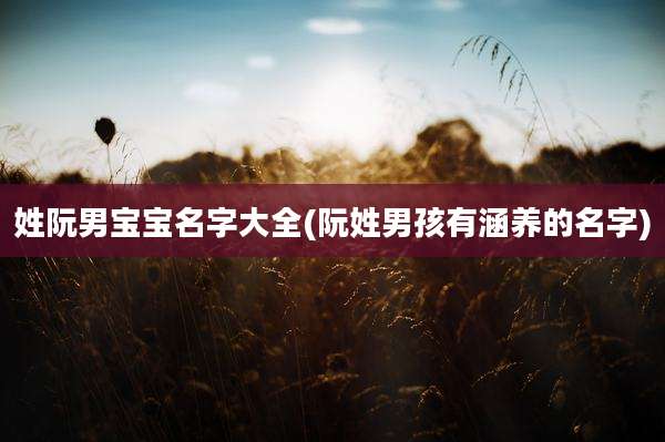 姓阮男宝宝名字大全(阮姓男孩有涵养的名字)
