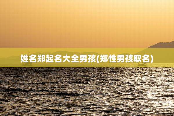 姓名郑起名大全男孩(郑性男孩取名)
