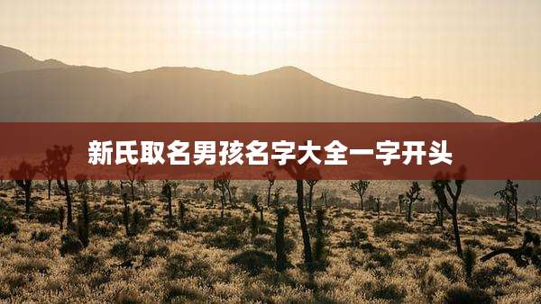 新氏取名男孩名字大全一字开头