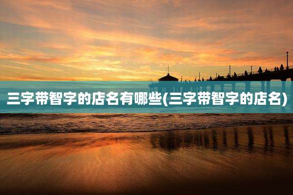 三字带智字的店名有哪些(三字带智字的店名)