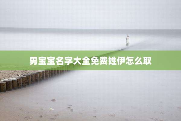 男宝宝名字大全免费姓伊怎么取