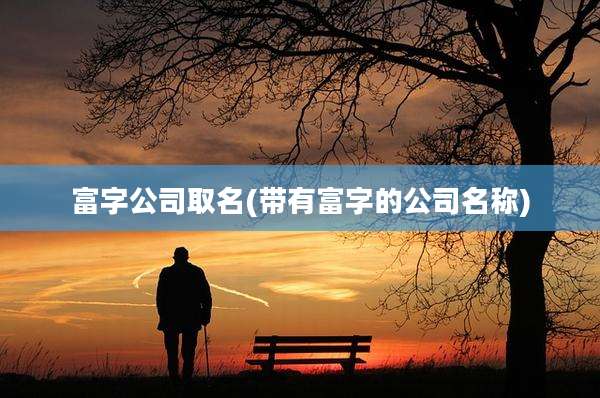 富字公司取名(带有富字的公司名称)