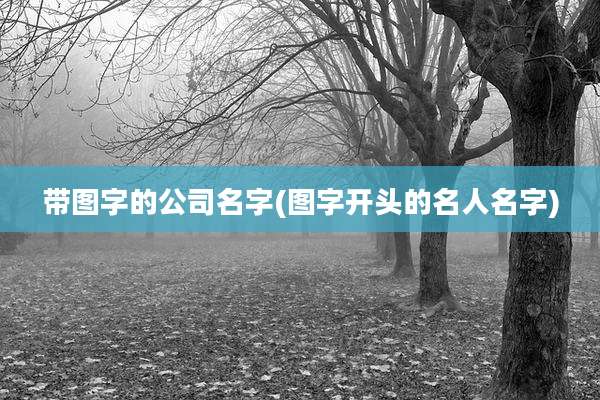 带图字的公司名字(图字开头的名人名字)