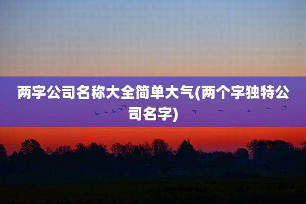 两字公司名称大全简单大气(两个字独特公司名字)