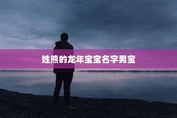 姓熊的龙年宝宝名字男宝