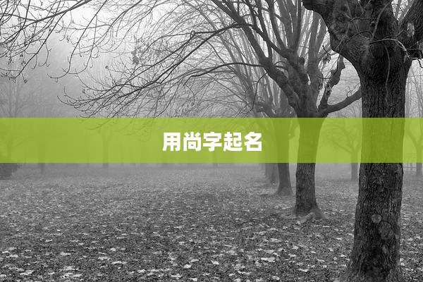 用尚字起名