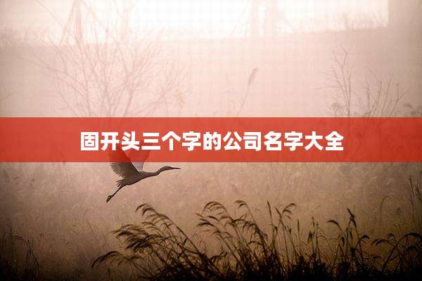 固开头三个字的公司名字大全