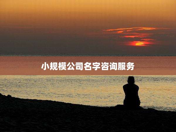 小规模公司名字咨询服务