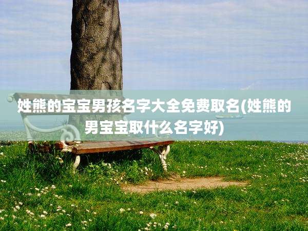 姓熊的宝宝男孩名字大全免费取名(姓熊的男宝宝取什么名字好)