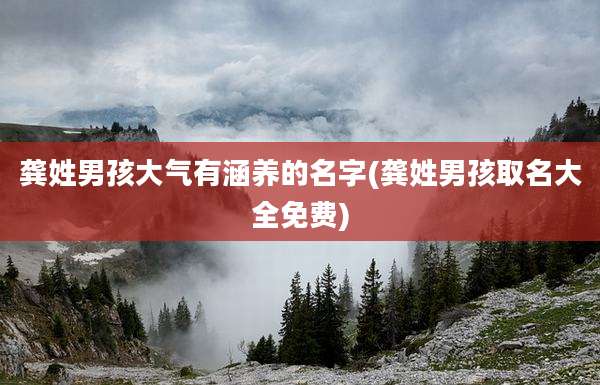 龚姓男孩大气有涵养的名字(龚姓男孩取名大全免费)