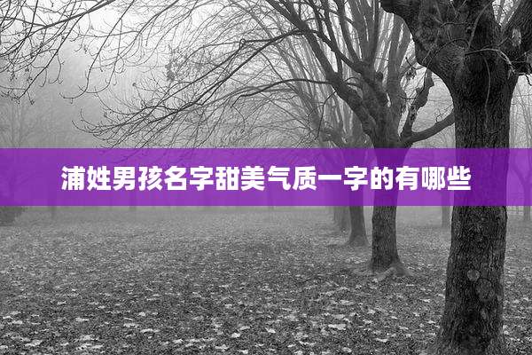 浦姓男孩名字甜美气质一字的有哪些
