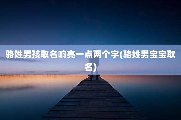 骆姓男孩取名响亮一点两个字(骆姓男宝宝取名)