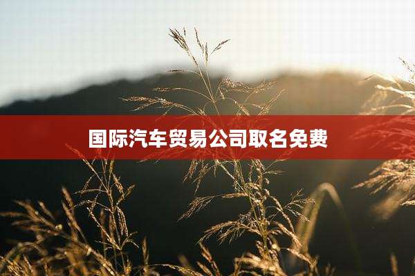 国际汽车贸易公司取名免费