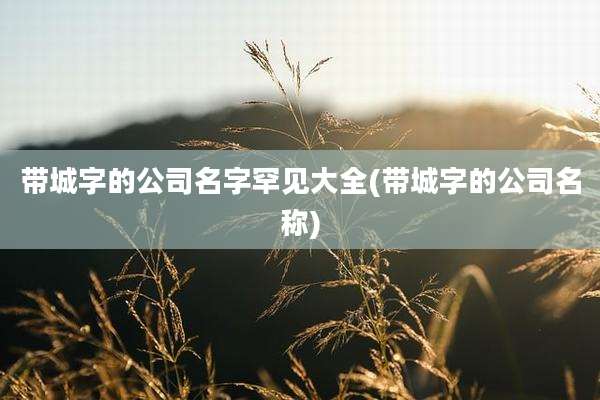 带城字的公司名字罕见大全(带城字的公司名称)