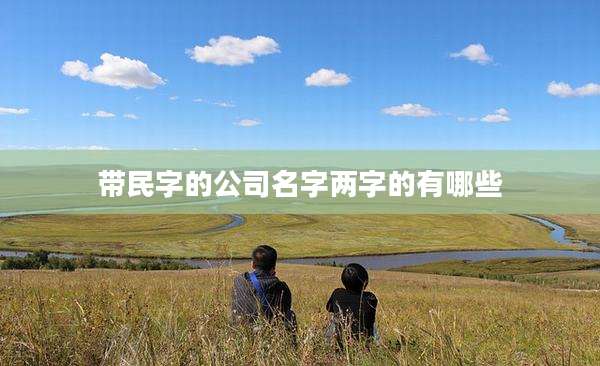 带民字的公司名字两字的有哪些