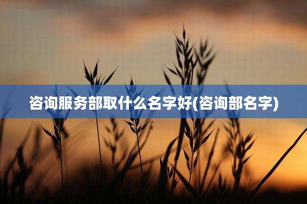 咨询服务部取什么名字好(咨询部名字)
