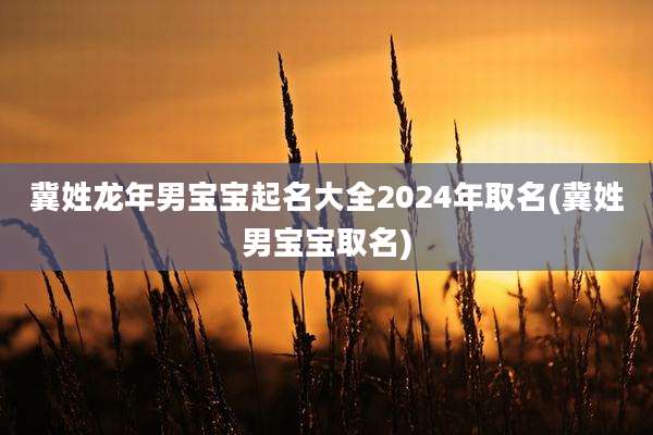 冀姓龙年男宝宝起名大全2024年取名(冀姓男宝宝取名)