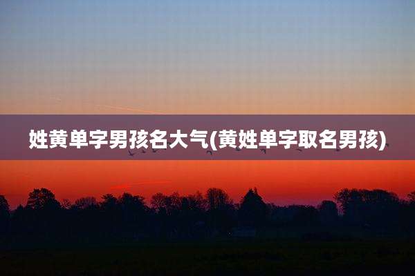 姓黄单字男孩名大气(黄姓单字取名男孩)