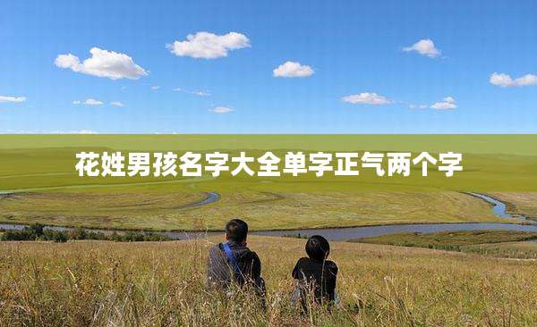 花姓男孩名字大全单字正气两个字