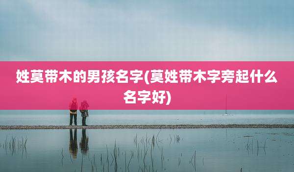 姓莫带木的男孩名字(莫姓带木字旁起什么名字好)