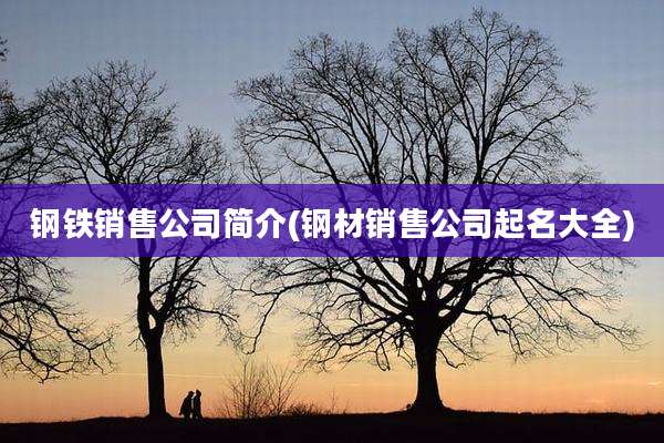 钢铁销售公司简介(钢材销售公司起名大全)