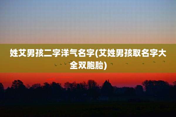 姓艾男孩二字洋气名字(艾姓男孩取名字大全双胞胎)