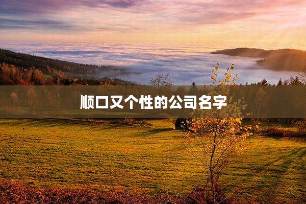 顺口又个性的公司名字