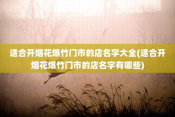适合开烟花爆竹门市的店名字大全(适合开烟花爆竹门市的店名字有哪些)
