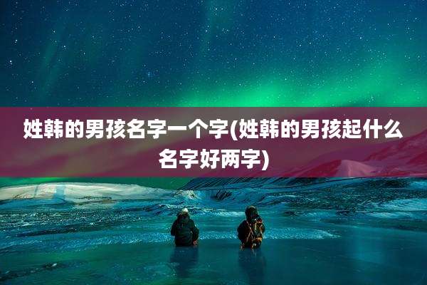 姓韩的男孩名字一个字(姓韩的男孩起什么名字好两字)