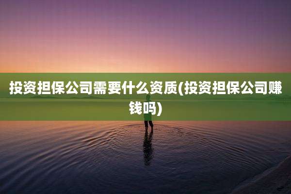 投资担保公司需要什么资质(投资担保公司赚钱吗)
