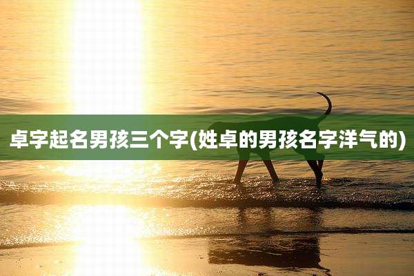 卓字起名男孩三个字(姓卓的男孩名字洋气的)