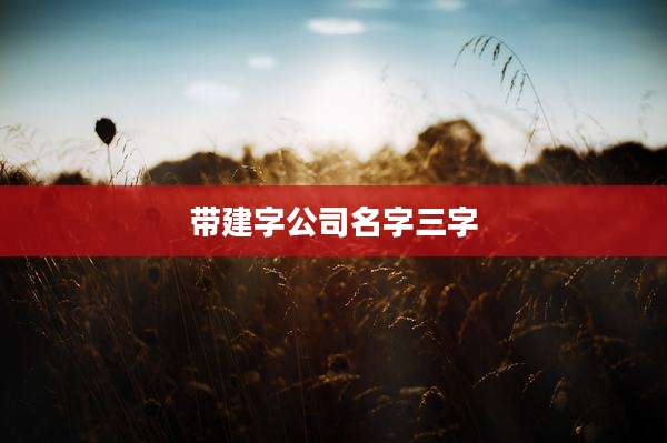 带建字公司名字三字