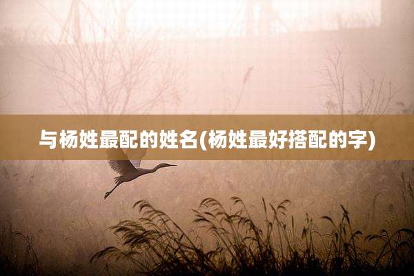 与杨姓最配的姓名(杨姓最好搭配的字)