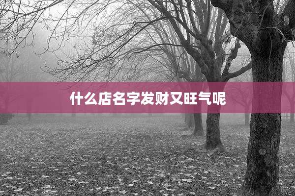 什么店名字发财又旺气呢