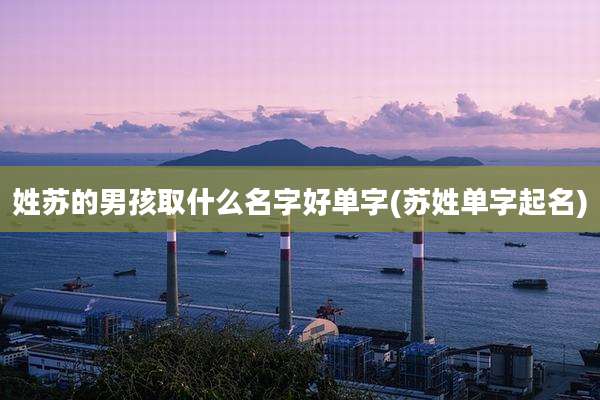 姓苏的男孩取什么名字好单字(苏姓单字起名)