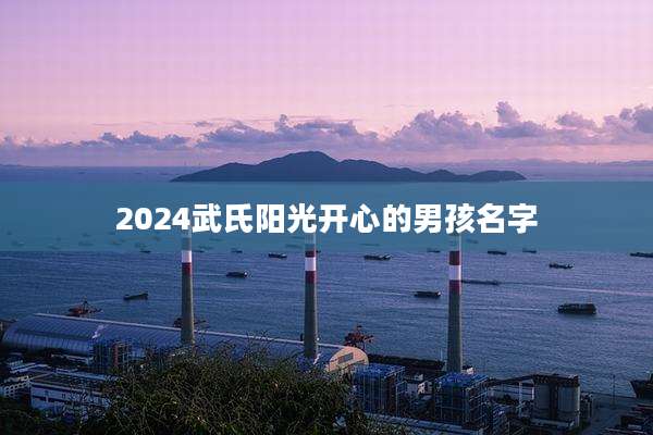 2024武氏阳光开心的男孩名字