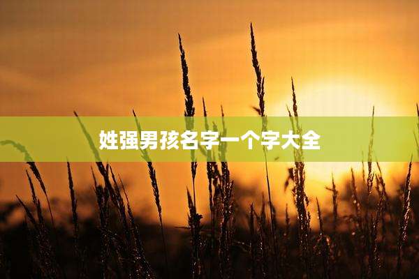 姓强男孩名字一个字大全