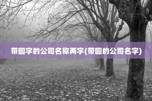 带圆字的公司名称两字(带圆的公司名字)