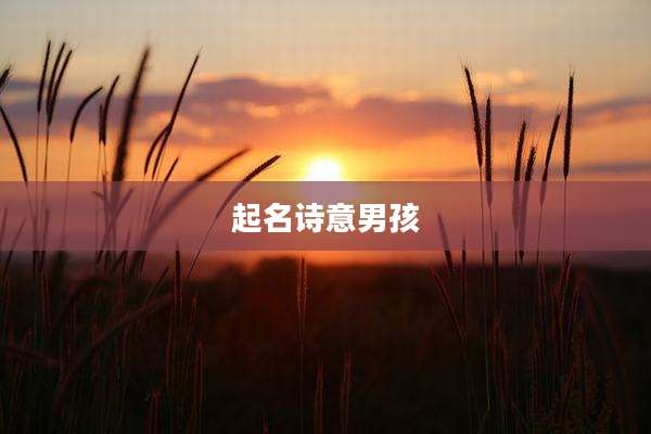 起名诗意男孩