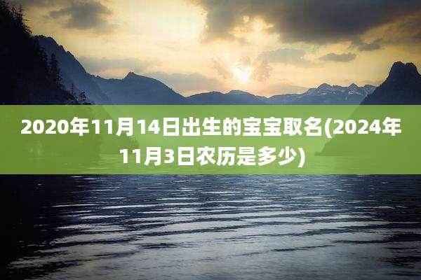2020年11月14日出生的宝宝取名(2024年11月3日农历是多少)