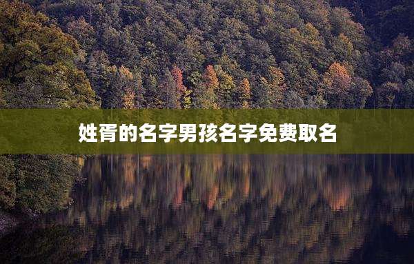 姓胥的名字男孩名字免费取名