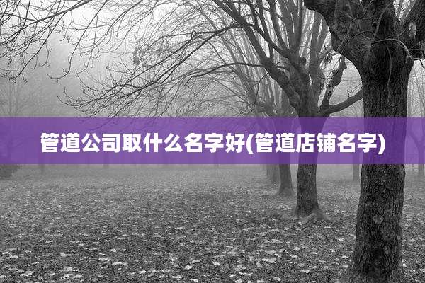 管道公司取什么名字好(管道店铺名字)