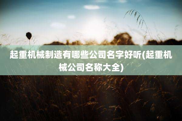 起重机械制造有哪些公司名字好听(起重机械公司名称大全)