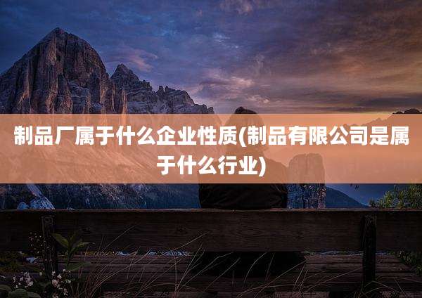制品厂属于什么企业性质(制品有限公司是属于什么行业)