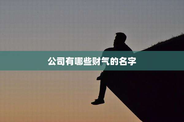 公司有哪些财气的名字