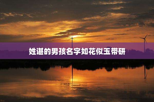 姓谌的男孩名字如花似玉带研