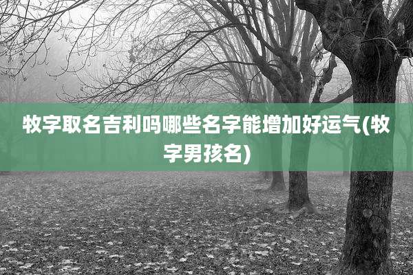 牧字取名吉利吗哪些名字能增加好运气(牧字男孩名)