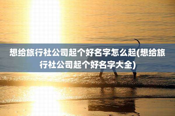 想给旅行社公司起个好名字怎么起(想给旅行社公司起个好名字大全)