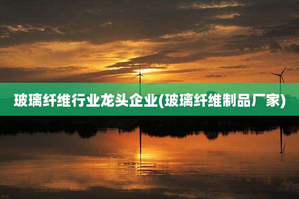 玻璃纤维行业龙头企业(玻璃纤维制品厂家)