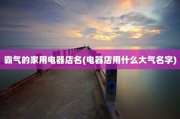 霸气的家用电器店名(电器店用什么大气名字)